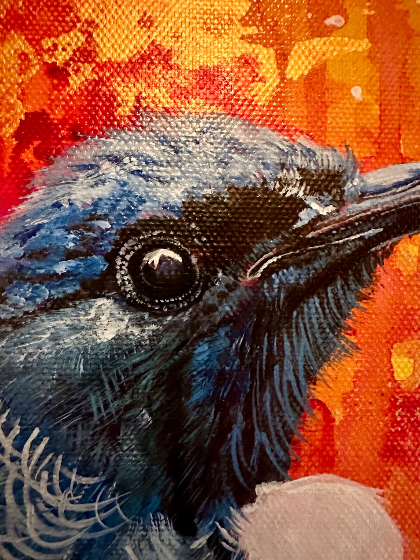 Tui's Playful Splendour