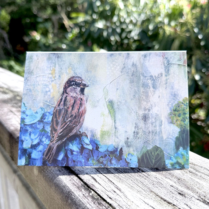 Greeting Card 6-pack - Second Edition