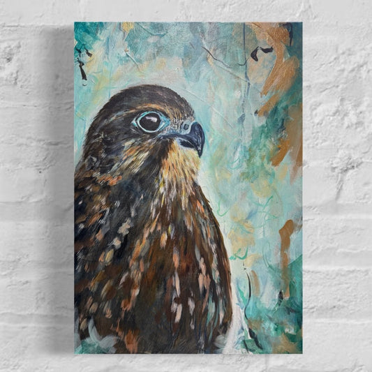 Rising Through - karearea/NZ falcon