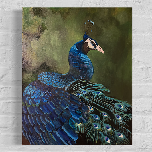 Peacock Study
