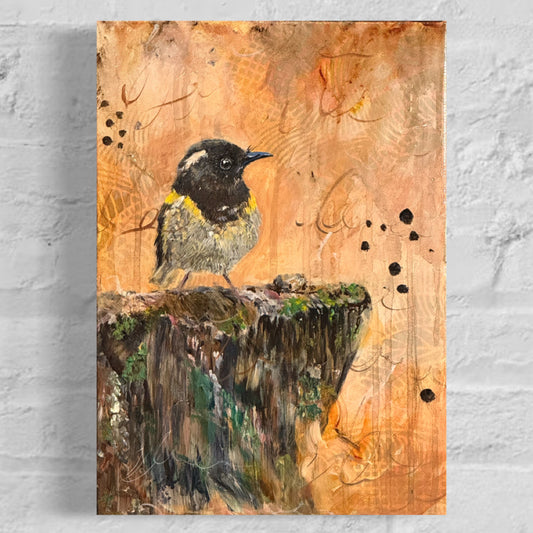 Mini - Quiet Spark - Hihi/Stitchbird