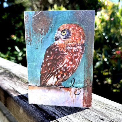 Greeting Card 6-pack - Second Edition