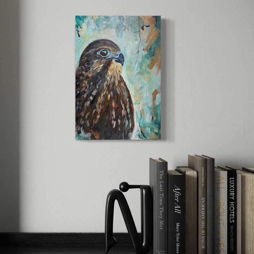 Rising Through - karearea/NZ falcon