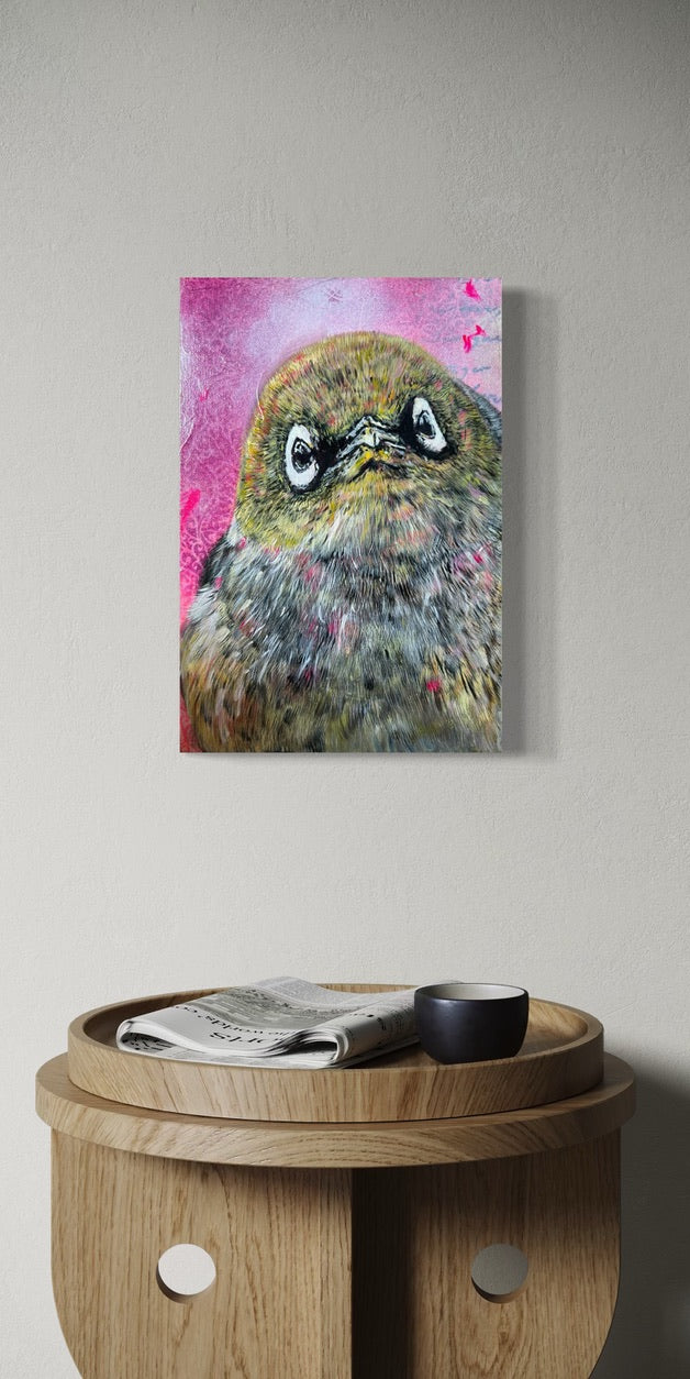 Mini - Sweet Watcher – Waxeye/Tauhou