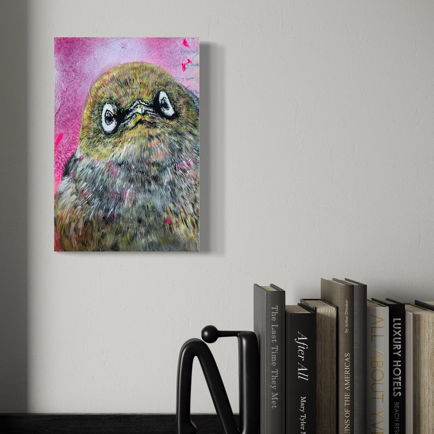 Mini - Sweet Watcher – Waxeye/Tauhou