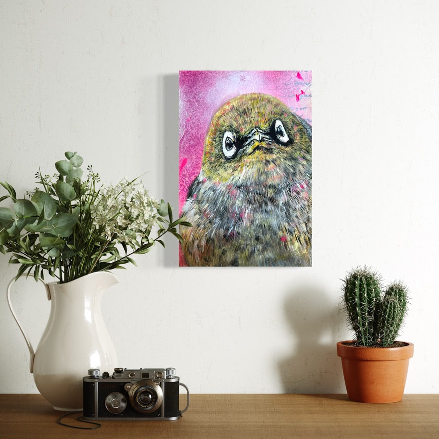 Mini - Sweet Watcher – Waxeye/Tauhou