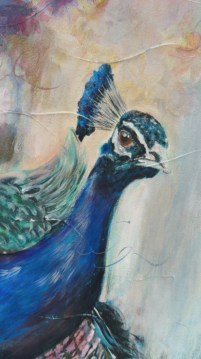 Emergence - Peacock - Petals & Wings