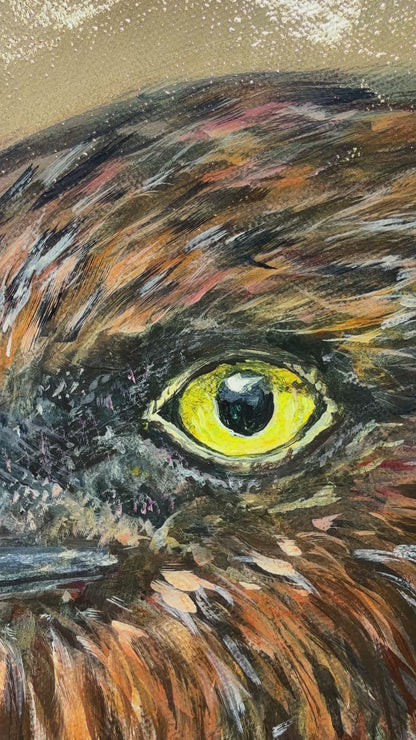 Locked On - Kahu - Feather & Form